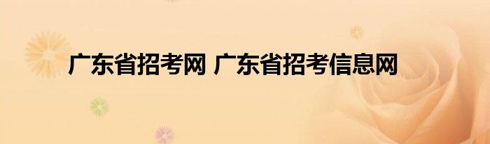 广东省招考网 广东省招考信息网