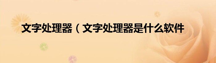 文字处理器（文字处理器是什么软件
