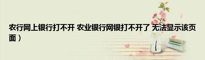 农行网上银行打不开 农业银行网银打不开了 无法显示该页面）