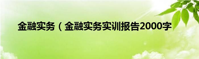 金融实务（金融实务实训报告2000字
