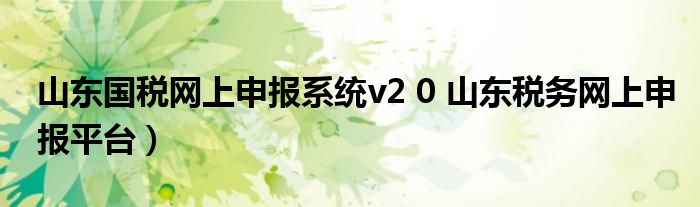 山东国税网上申报系统v2 0 山东税务网上申报平台）