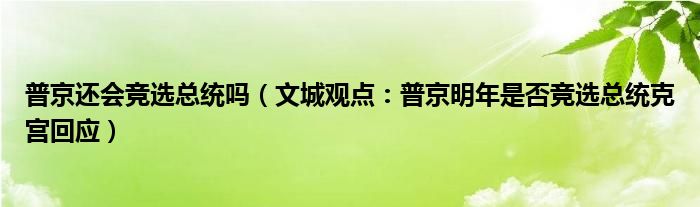 普京还会竞选总统吗（文城观点：普京明年是否竞选总统克宫回应）