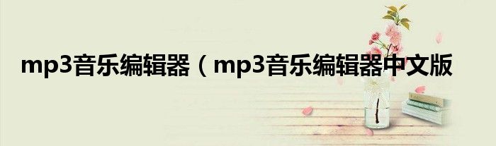 mp3音乐编辑器（mp3音乐编辑器中文版