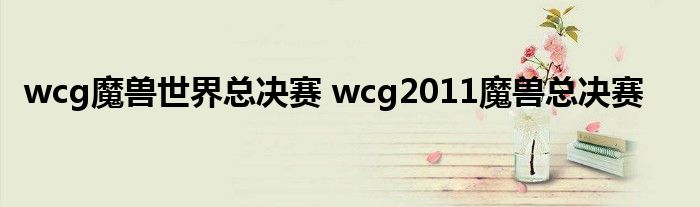 wcg魔兽世界总决赛 wcg2011魔兽总决赛