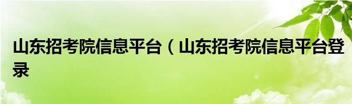 山东招考院信息平台（山东招考院信息平台登录