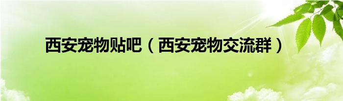 西安宠物贴吧（西安宠物交流群）