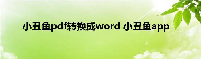 小丑鱼pdf转换成word 小丑鱼app