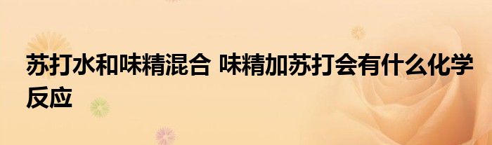 苏打水和味精混合 味精加苏打会有什么化学反应