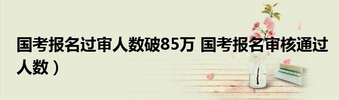 国考报名过审人数破85万 国考报名审核通过人数）
