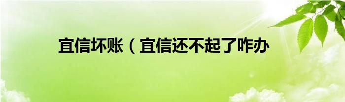 宜信坏账（宜信还不起了咋办