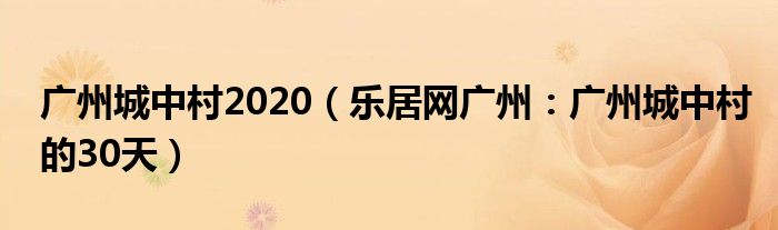 广州城中村2020（乐居网广州：广州城中村的30天）