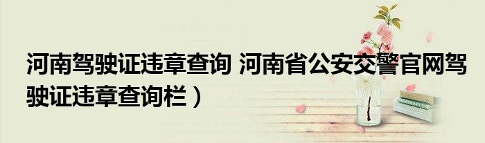 河南驾驶证违章查询 河南省公安交警官网驾驶证违章查询栏）