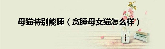 母猫特别能睡（贪睡母女猫怎么样）