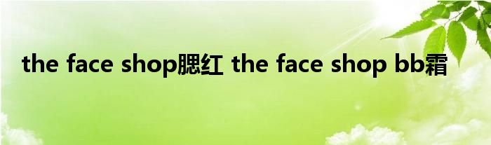 the face shop腮红 the face shop bb霜