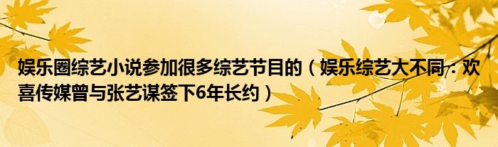 娱乐圈综艺小说参加很多综艺节目的（娱乐综艺大不同：欢喜传媒曾与张艺谋签下6年长约）