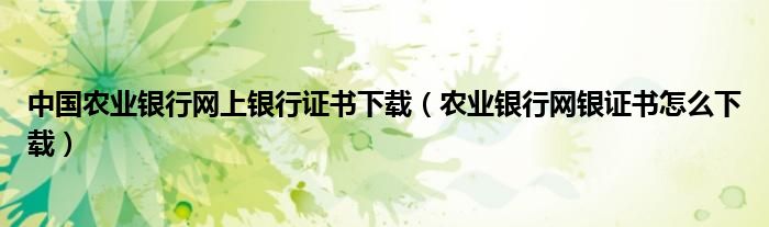 中国农业银行网上银行证书下载（农业银行网银证书怎么下载）