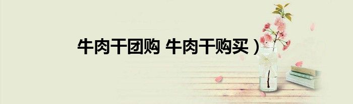 牛肉干团购 牛肉干购买）