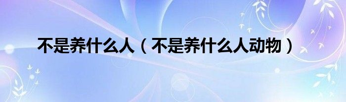 不是养什么人（不是养什么人动物）