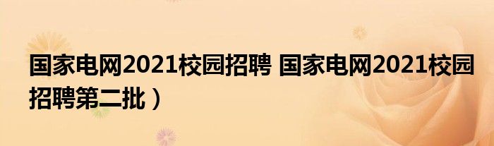 国家电网2021校园招聘 国家电网2021校园招聘第二批）