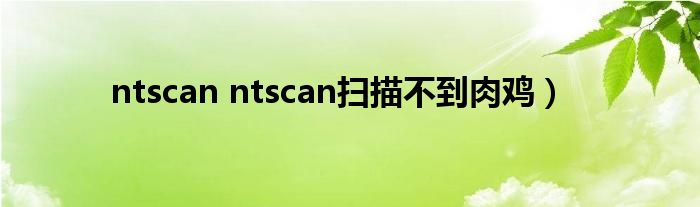 ntscan ntscan扫描不到肉鸡）