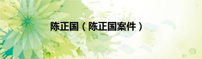 陈正国（陈正国案件）