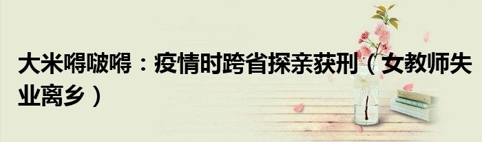 大米嘚啵嘚：疫情时跨省探亲获刑（女教师失业离乡）