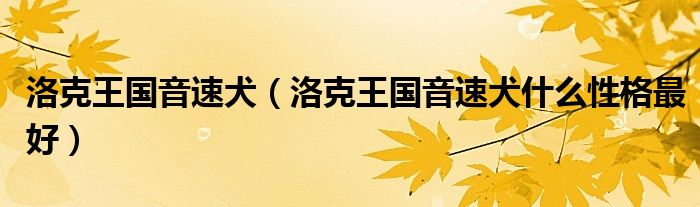 洛克王国音速犬（洛克王国音速犬什么性格最好）