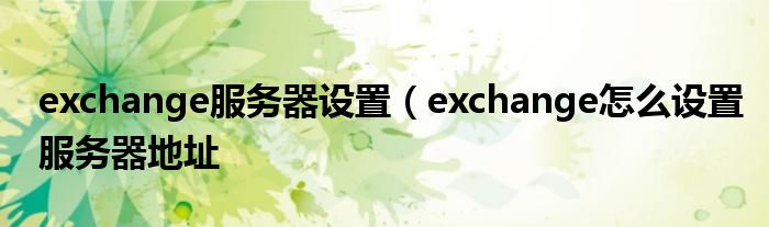 exchange服务器设置（exchange怎么设置服务器地址