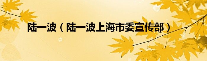 陆一波（陆一波上海市委宣传部）