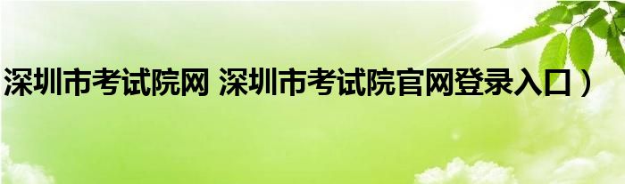深圳市考试院网 深圳市考试院官网登录入口）