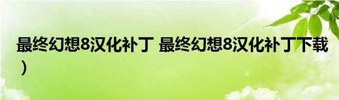 最终幻想8汉化补丁 最终幻想8汉化补丁下载）