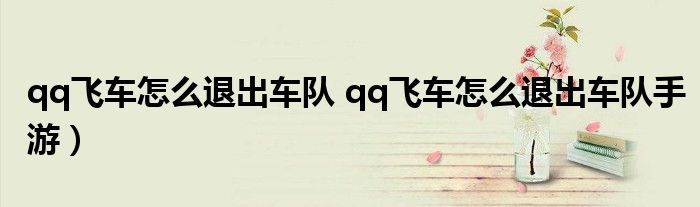 qq飞车怎么退出车队 qq飞车怎么退出车队手游）