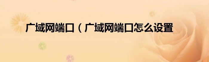 广域网端口（广域网端口怎么设置