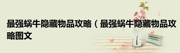 最强蜗牛隐藏物品攻略（最强蜗牛隐藏物品攻略图文