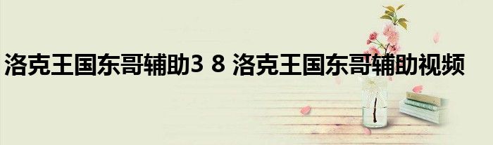 洛克王国东哥辅助3 8 洛克王国东哥辅助视频