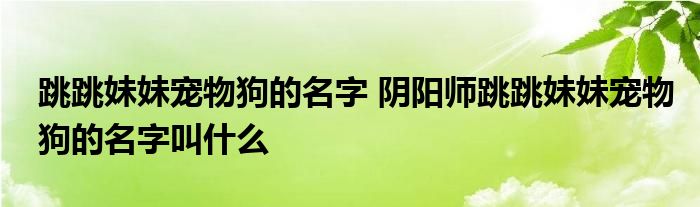 跳跳妹妹宠物狗的名字 阴阳师跳跳妹妹宠物狗的名字叫什么