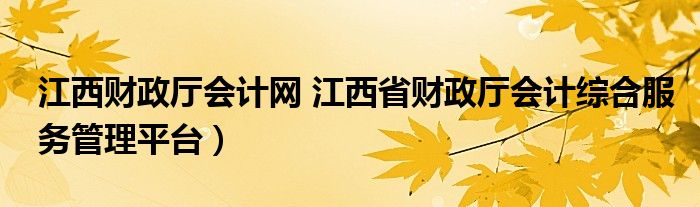 江西财政厅会计网 江西省财政厅会计综合服务管理平台）