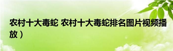 农村十大毒蛇 农村十大毒蛇排名图片视频播放）