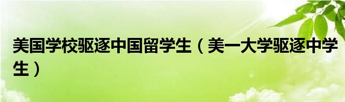 美国学校驱逐中国留学生（美一大学驱逐中学生）
