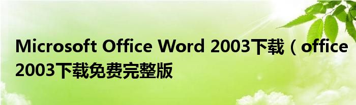 Microsoft Office Word 2003下载（office2003下载免费完整版