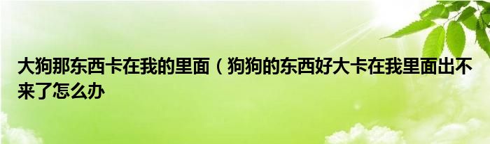 大狗那东西卡在我的里面（狗狗的东西好大卡在我里面出不来了怎么办