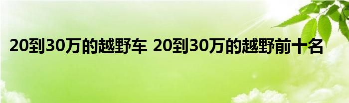 20到30万的越野车 20到30万的越野前十名