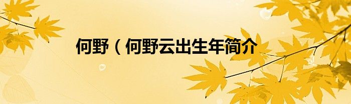 何野（何野云出生年简介