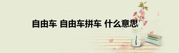 自由车 自由车拼车 什么意思