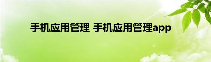 手机应用管理 手机应用管理app