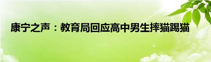 康宁之声：教育局回应高中男生摔猫踢猫