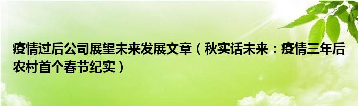 疫情过后公司展望未来发展文章（秋实话未来：疫情三年后农村首个春节纪实）