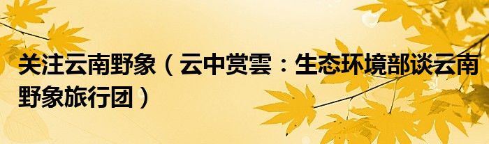 关注云南野象（云中赏雲：生态环境部谈云南野象旅行团）