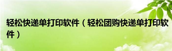 轻松快递单打印软件（轻松团购快递单打印软件）