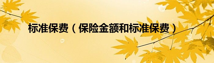 标准保费（保险金额和标准保费）
